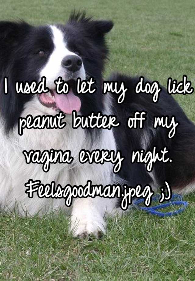 I Let My Dog Lick My Pussy